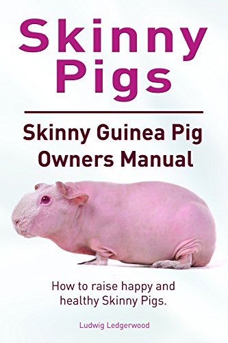 skinny pig pink