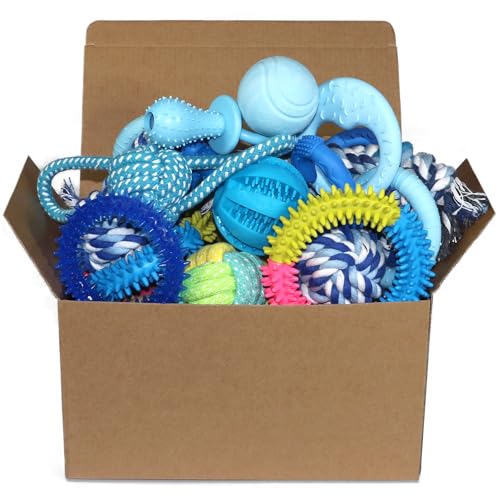 PawsAion 20 Pack Puppy Toys Set - Puppy Chew Toys ...
