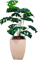 Planta Costela De Adão Artificial Grande + Vaso Quadrado Bege Premium