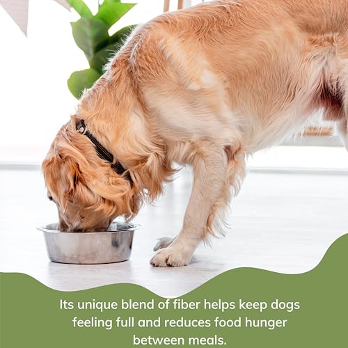 Weight Control Dog Food Bundle includes Metabolic Dry 1.5kg, Low Fat Treats Pack of 2 x 100g, Nose and Paw Balm - Image 4