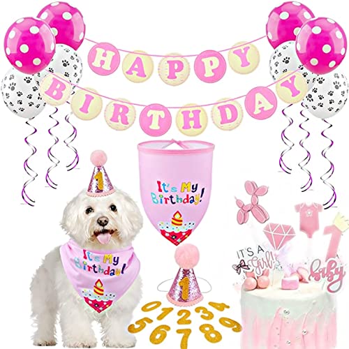 Décor de fête d'anniversaire animaux avec écharpe chapeau collier ballons pour chien chat