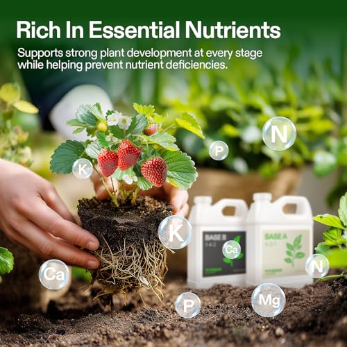 Image of VIVOSUN Liquid Nutrients Base A & B Bundle, Grow Big Hydroponic Fertilizer, Supports Vegetative and Flowering Stages for Outdoor, Indoor Plants, Best Plant Food, Set of Quarts (Pack of 2)