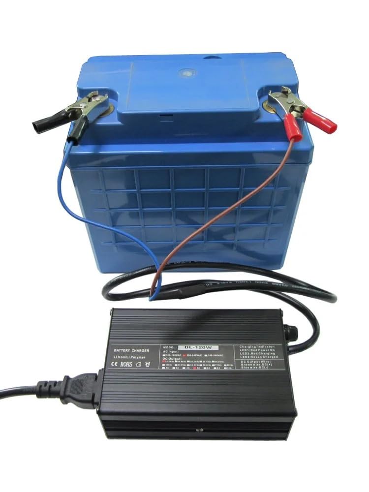 Amazon.co.jp: 12V 14A 鉛酸バッテリー充電器 14.7V バッテリーパック 