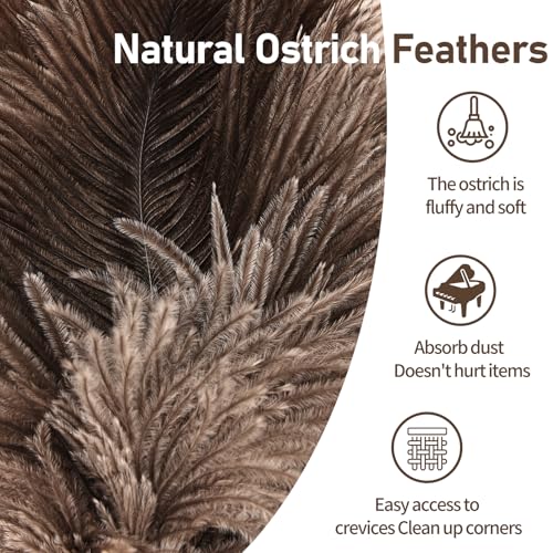 Image of Ostrich Feather Duster 12 Inch Handheld Duster Supplies, Wooden Handle Feather Duster for Cleaning Keyboard Home Car Office (Natural)