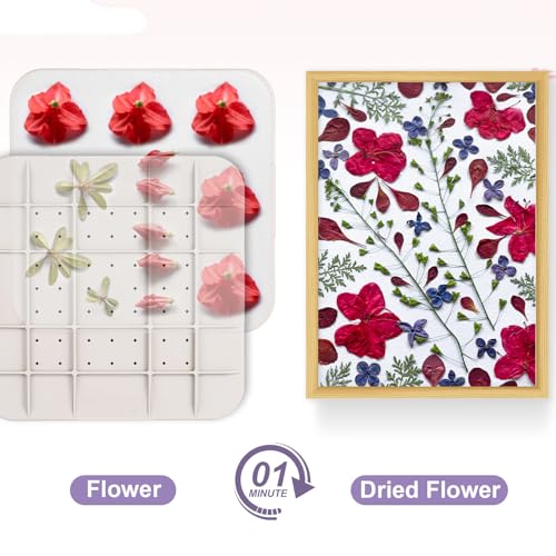 Suziko Updated 9" (23cm) Large Microwave Flower Press with Photo Frame for Quick Pressing, Drying, and Creating Pressed Flowers - Image 2