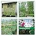 36 Strands 10cm Cell Plant Climbing Net -Heavy Duty Garden Trellis Netting Plant Netting for Cucumber Vine, Fruits & Vegetable(2mx5m)