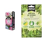 Quelato de Hierro Batlle es un corrector de carencias de hierro, también conocida como clorosis férrica, que se identifica por los nervios verdes, mientras el resto de la hoja va adquiriendo tonalidades amarillas