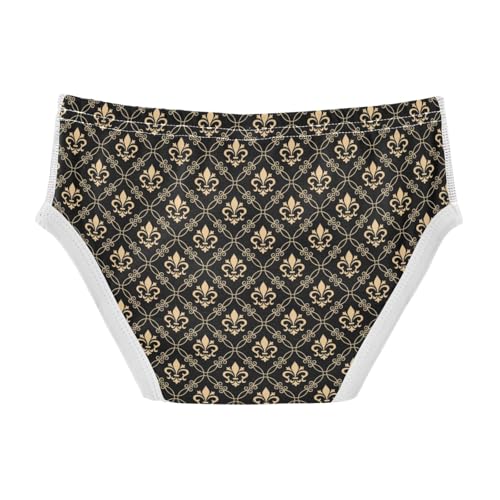 Boys' Exclusive Briefs Toddler Underwear 95% Combed Cotton Boxerbriefs 2T Fleur - De - Lis Pattern Mandala 92