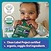 Cerebelly Baby Food Pouches – Organic Veggie Purees for Toddlers | No Added Sugar, Fiber, Non-GMO | Blended Toddler Pouches | 4 Ounce BPA-Free Pouch | Green Bean Pumpkin | 6 Count