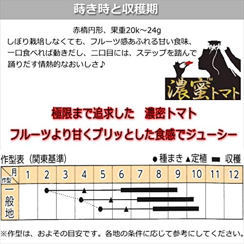 Amazon.co.jp: 実生 ミニトマト 濃密トマト フラガール 10.5cmポット苗