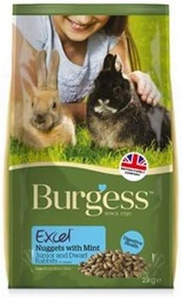 Burgess Excel Rabbit 2kg Junior & Dwarf Tasty Nuggets With Mint