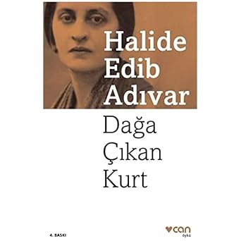 Dağa Çıkan Kurt