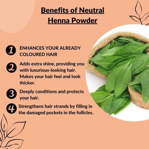 Polvo de Henna 100% Natural 200 gramos miniatura 2