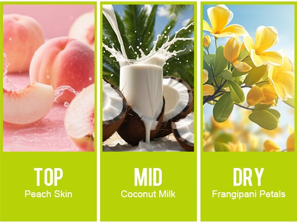 Miniatura 3 de Perfume - No.11, spray corporal para mujer (Eau De Parfum) fragancia para cabello y cuerpo (piel de durazno + leche de coco + pétalos de Frangipani)