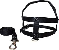 MY PET BRASIL Peitoral Para Cachorros N°4 Ajuste Fácil No Corpo Do Pet Nylon Coleira Peitoral Regulável Confortável E Resistente Preto