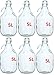 Price comparison product image 6x wine balloon glass bottle 5 L BDG5D