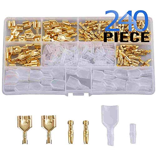 チタノプシス　種子４０種類　２０粒ずつセット チタノプシス 種子40種類 20粒ずつセット