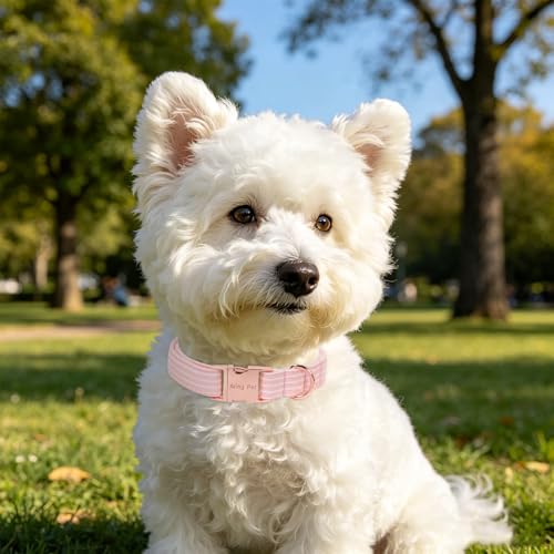 Image of ARING PET Girl Dog Collar for Puppy Small Medium Large Dogs-Pink Stripe L | Cute Female Heavy Duty Pet Collars with Metal Buckle for XS S M L XL Dogs, for City Walk Coffee Shop Visit Party Stroll