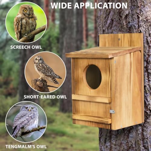 Refugio impermeable de madera para aves silvestres: decore su patio y proteja la fauna 6