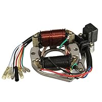 Alamor CCM 110Cc 125Cc 2 Spule ATV Quad Stator Zünd Spule Magnetplatte Chinesisch