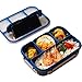 Camphor Lebensmittelbehälter für Kinder,Snackbehälter für Kinder - Auslaufsichere Bento Box Lunchbox für Kinder und Erwachsene, tragbare Bento Box mit 4 Fächern, mikrowellenfest