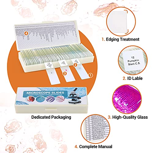 60 Prepared Microscope Slides For Kids & Students, Microscope Glass Slide Set Including Animal & Plant Specimens, Suitable For School And Home Education #TOP2