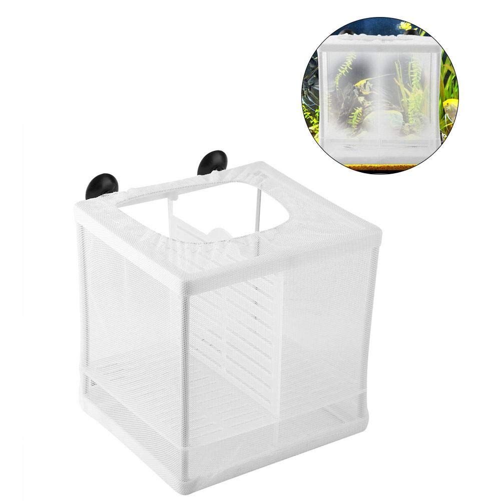 Zetiling Fish Breeding Box, Fish Incubator Mesh, Fish Isolation Box, Plastic Frame White Isolation Mesh Box with Suction Cup Multifunctional Aquarium Tank Accessory Ideal for Fish Breeder