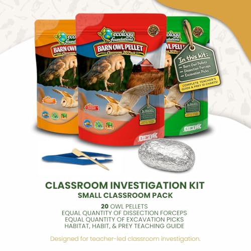 Image of Barn Owl Pellets for Dissection for Classrooms, Small 20-Pack Kit by OBDK | Forceps, picks and instructor guide included, life science and ecology, bone sorting chart, hands-on lab activity