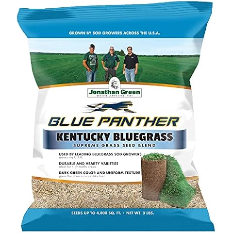 Jonathan Green Blue Panther Kentucky Bluegrass Grass Seed (3 lb) Cover
