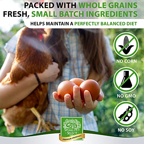 Small Pet Select Sustainable Chicken Scratch 20lb miniatura 3
