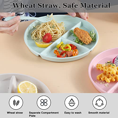 sukevitor 2Pcs Divided Plates, Reusable Plastic Tray Divided Round Plate - Image 6