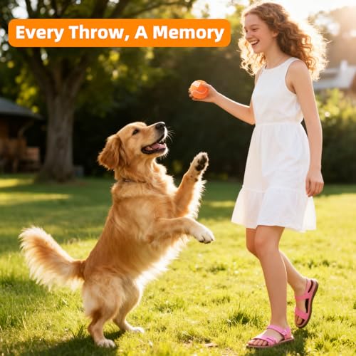 Image of Sunraymascota 6-Pack Tennis Balls for Dogs Fetch Toys,for Beginner Practice