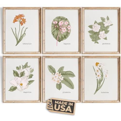 Vintage Botanical Wall Art Prints (Set of 6) - Unframed...