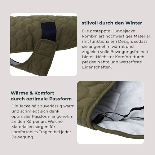 Wanderpfote Hundemantel – Steppjacke Hundejacke Stilvoll und Elegant – Hundemantel Wasserdicht – optimal für kleine und mittelgroße Hunde (Grün, XXXL)