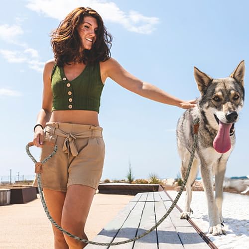 Laisse pour chien solide avec fermeture robuste contre les tractions brusques - 3