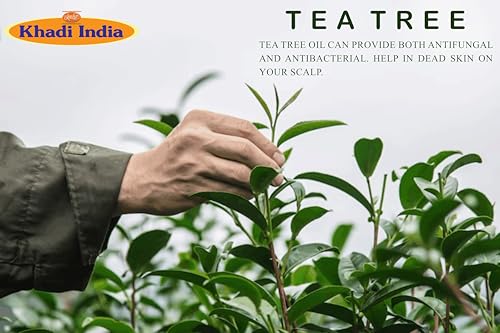 Image of Khadi Vedimatic Organic Tea Tree Triple Treat Invigorating Shampoo with No Parabens, No Sulphates, No Mineral Oil, No Colours, No PEG, Organic, For all hair types (Pack of 1, Tea Tree)