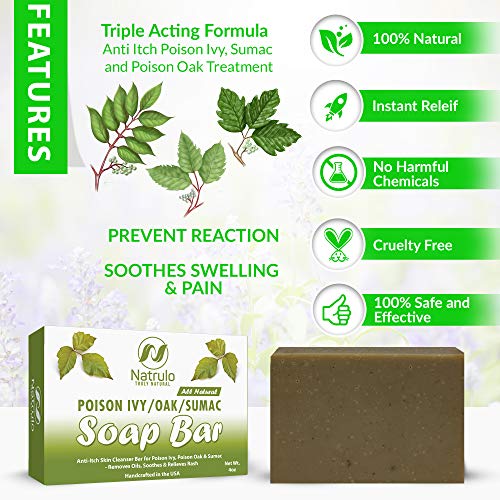 The 30 Best Poison Ivy Treatments of 2024 [Verified] Cherry Picks