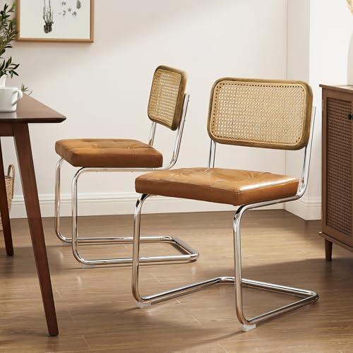 Zouron Esszimmerstühle Rattan Stuhl Schwingstühle 2er Set - mit...