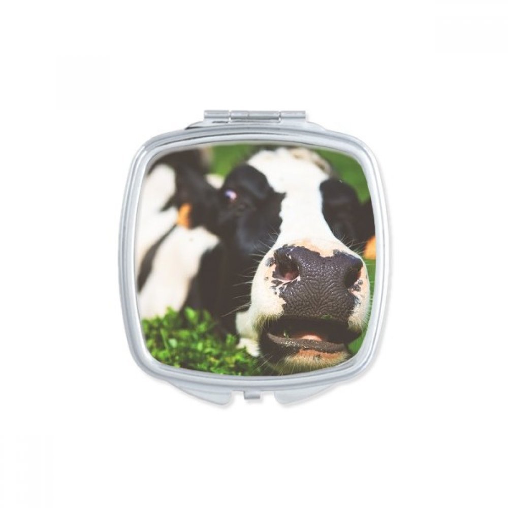 Miroir de poche cygne mignon pour maquillage nomade