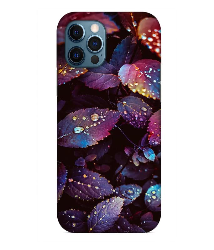 RareHub Shining Water on Leaf Printed Hard Mobile Back Cover for Apple iPhone 12 Pro Max Designer & Attractive Case for Your Smartphone (B0C67524SR) Amazon Price History, Amazon Price Tracker