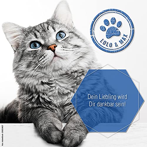 Lolo & Max DentaClean Futterspray - 130ml Flasche - Dentalspray für Hunde, Katzen & Co. - Zahnreinigung Hund - Gegen Mundgeruch - Dentalspray für Hunde Zahnstein