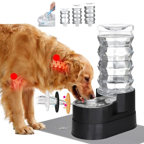 RIZZARI 8L Elevated Pet Water Dispenser – Stainless Steel Gravity Waterer with Auto-Refill Design for Medium and Large Dogs & Senior Pets -Comfortable Drinking Height for Living Rooms,Multi-Pet Homes by RIZZARI - Used condition - US$38.00