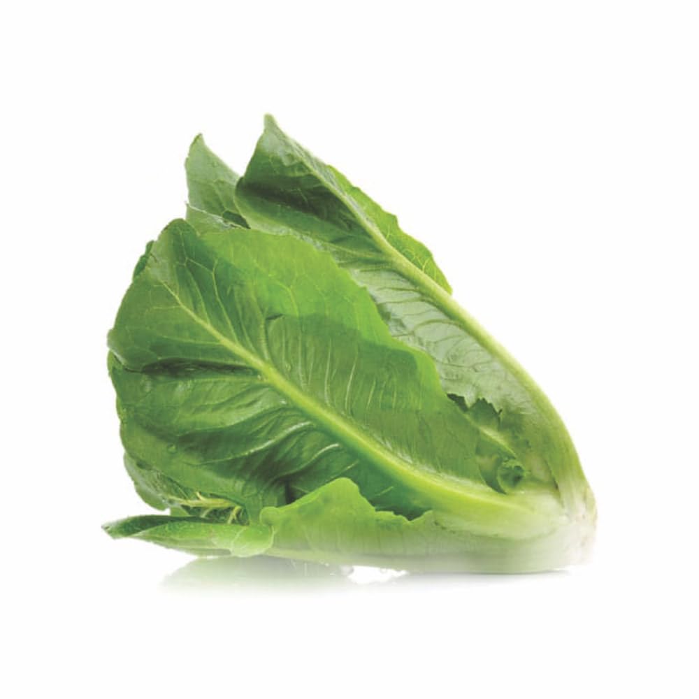 Nutrifresh Romaine Hydroponically Grown (approx.100gm) Pack