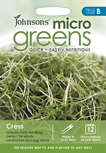 Mr Fothergills 38537