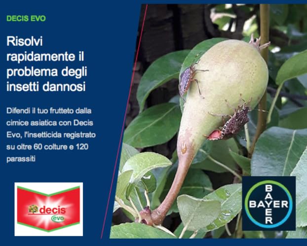 Decis evo 250ml, Insetticida per Fruttiferi, Orticole e Altre Colture