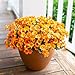 Daisy Artificial Flowers for Outdoors Decoration, 6 Bundles Fake Plants Flowers Bouquet Faux Flowers for Outdoor Planter Look Real UV Resistant Silk Flowers for Outside Front Door Porch Patio, Orange