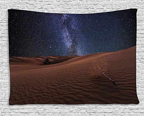 Ambesonne Space Tapestry, Life on Mars Themed Surreal Surface of Gobi Desert Dune Oasis Lunar Adventure Photo, Wide Wall Hanging for Bedroom Living Room Dorm, 60