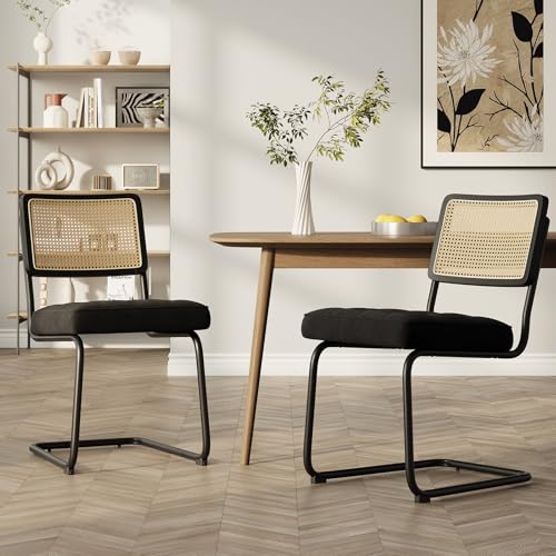COLAMY Rattan Esstischstühle 2er Set, Samtbezug mit Metallgestell, Schwarz