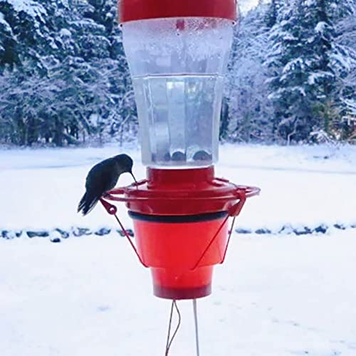 Which Best Heated Hummingbird Feeder Should You Buy Now? Spicer Castle