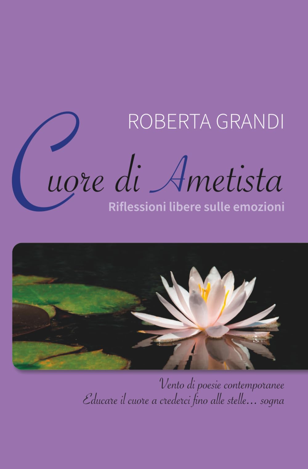 Cuore di ametista: Riflessioni libere sulle emozioni